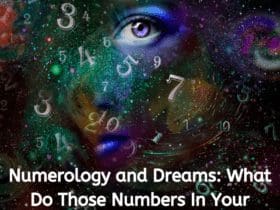 Numerology and Dreams: What Do Those Numbers In Your Dreams Mean?