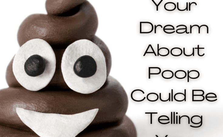 What Your Dream About Poop Could Be Telling You