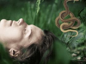 Dreaming About Snakes? What Does It Mean?