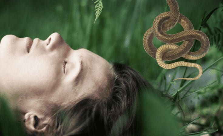Dreaming About Snakes? What Does It Mean?