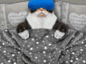Is Lucid Dreaming An Evil Thing? Risks And Benefits