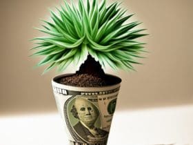 Dreaming About Money? Here Are Some Interpretations To Help You Figure Out Your Dream