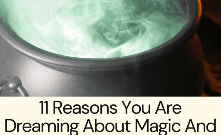 11 Reasons You Are Dreaming About Magic And Magical Things